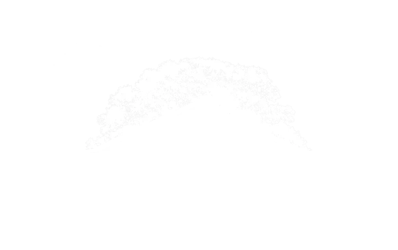 Logo in weiß von GREENSQUARE